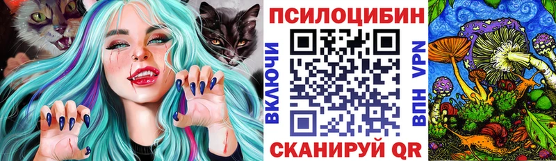 Галлюциногенные грибы Psilocybe Коряжма